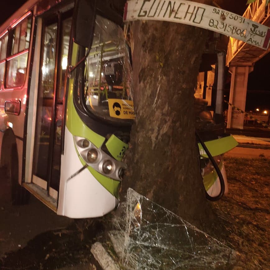 Ônibus do transporte coletivo bate em árvore na GO-060. Passageiros e motorista ficam feridos