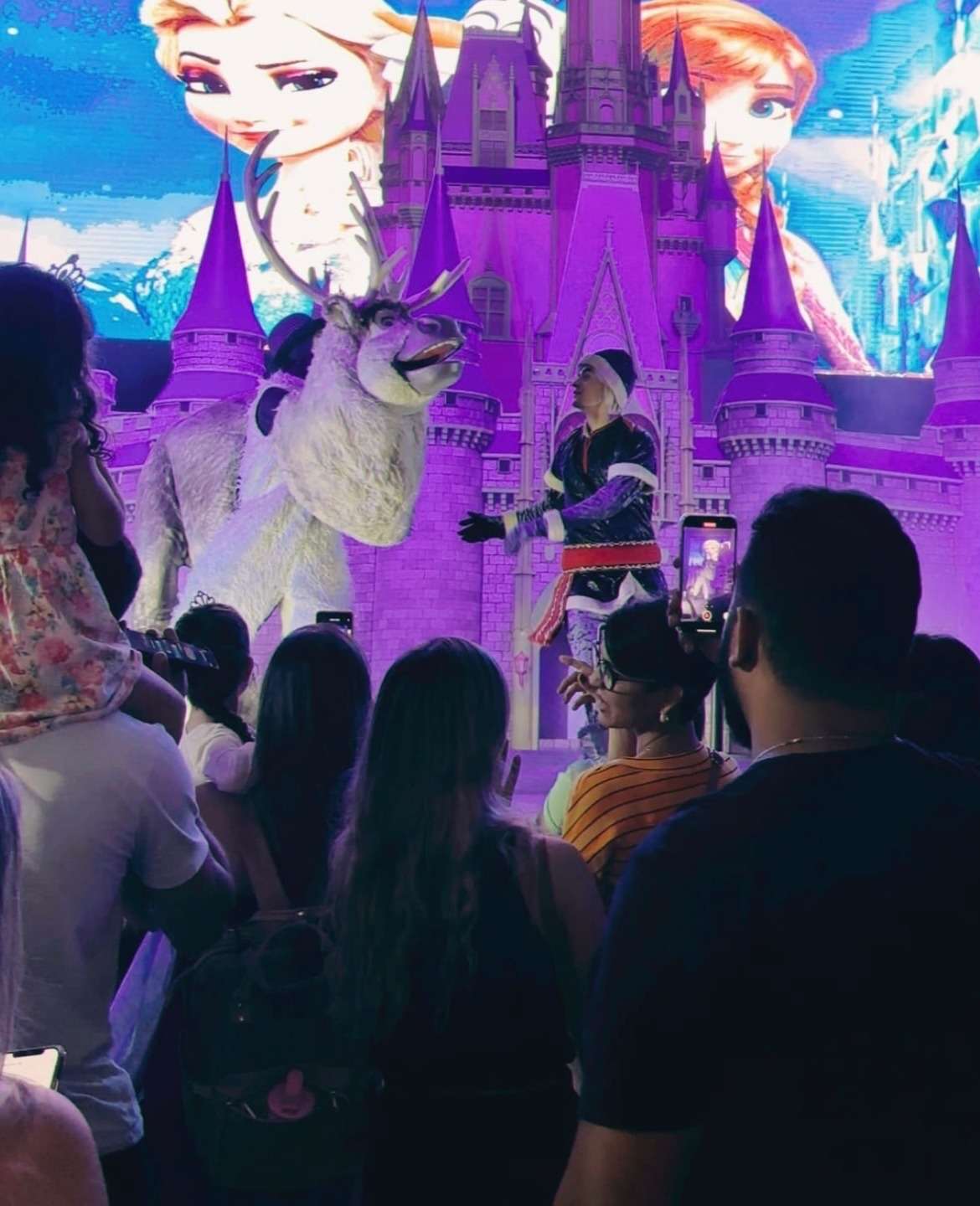 Turma da disney,Frozen,Patrulha canina e Encanto são atrações do último fim de semana da Happy Land