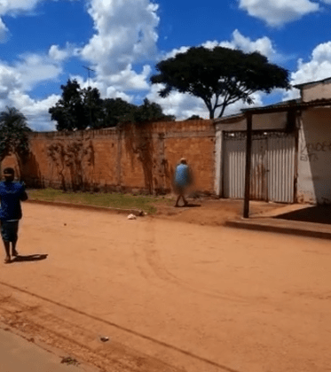 Mulher é presa por maltratar cachorro em vídeo, em Santo Antônio do Descoberto