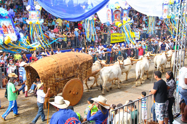 Desfile de carros de bois é destaque no sétimo dia da Romaria do Divino Pai Eterno 2023 