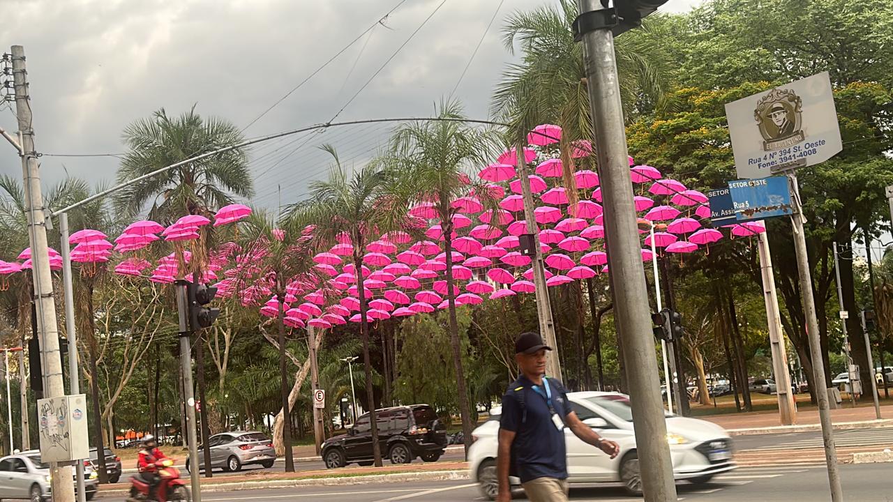 Projeta-se de rosa, juntos somos mais fortes