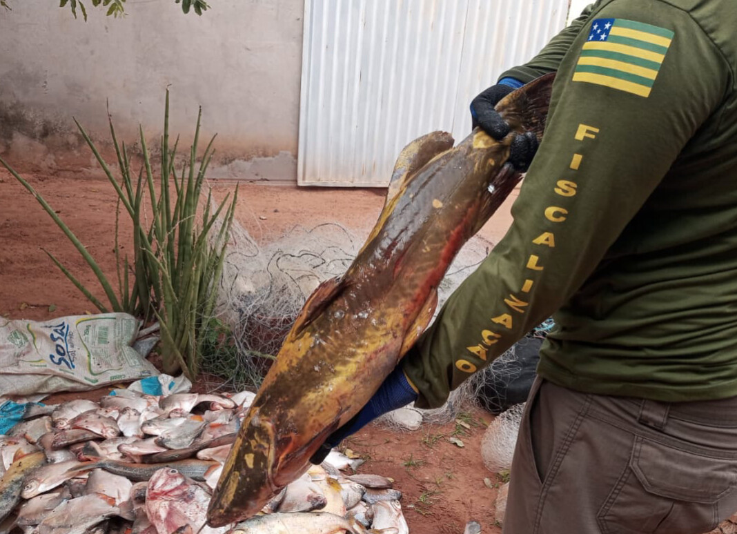 Suspeitos são presos em Aragarças por pesca predatória, fraude fiscal e lavagem de dinheiro